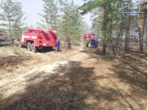 В Луганской области загорелось около 5 гектаров леса 