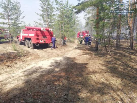 В Луганской области загорелось около 5 гектаров леса 
