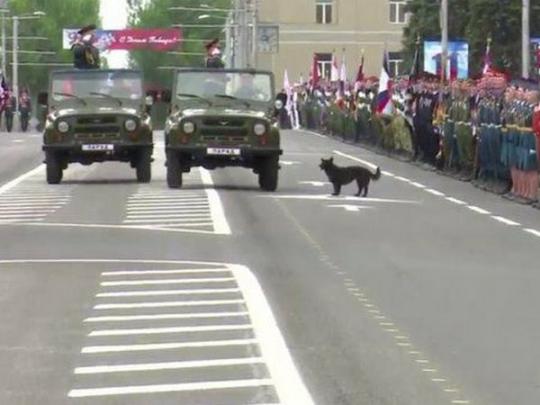 «парад» в Донецке