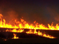 Цыганский табор сожгли во Львовской области