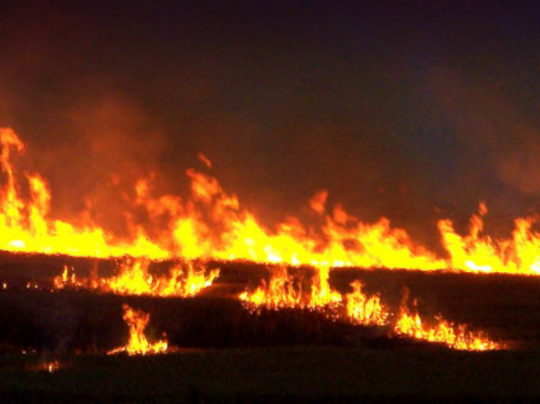 Цыганский табор сожгли во Львовской области