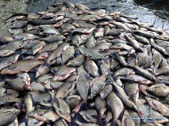 СБУ поймала браконьеров, "забывших" про запрет на вылов рыбы (фото)