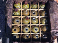 Опасный «урожай»: в тайнике обнаружили около 300 гранат (фото)