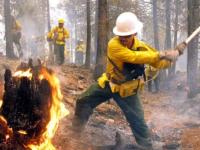 В США подростка оштрафовали на $37 млн за лесной пожар