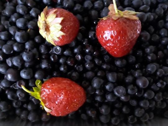 Cекреты заморозки ягод: рекомендации буковинского кулинара