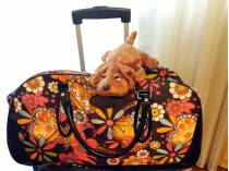 Какой чемодан идеален для путешествия: советы Валентина Дикуля