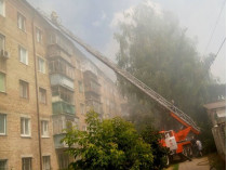 Большой пожар под Киевом тушили пять часов (фото)