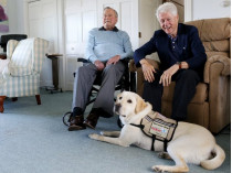 Буш, Клинтон и собака
