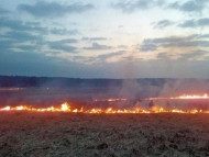 В Херсонской области сгорело 170 гектаров пшеничного поля 