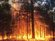 Погода на выходные: в Карпатах — паводки, а на юге Украины — пожары