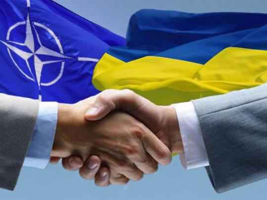 НАТО Украина&nbsp;— вперед