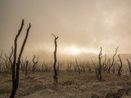 Названы причины серьезной засухи в Крыму