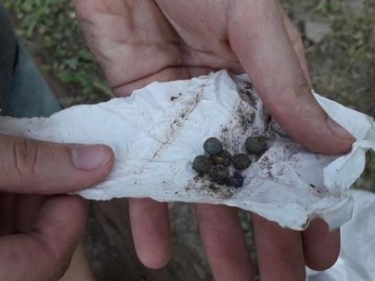 Археологи сделали сенсационную находку между детскими могилами