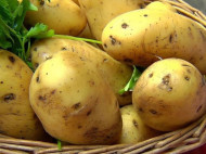 Диетологи объяснили, благодаря чему молодой картофель защищает от рака 