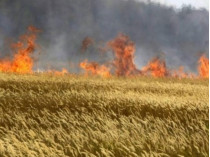 пожар в поле