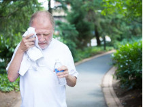 В жару увеличивается риск инсульта: как предотвратить смертельно опасное заболевание 