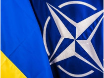 Украина&nbsp;— НАТО