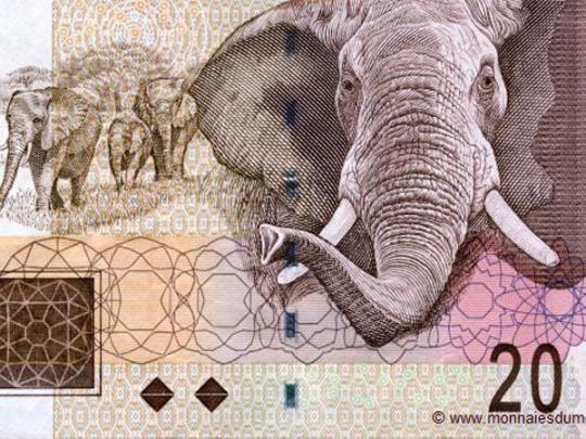 Африканская валюта