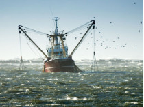 Рыбаки на Азовском море
