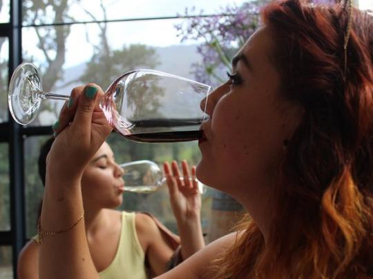 Женщины пьют вино