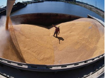 Экспорт зерновых