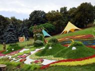 В Киеве начинается необычный фестиваль цветов: чем удивит выставка