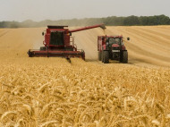 "Росток-Холдинг" бьет тревогу: сбор урожая под угрозой срыва из-за атаки рейдеров