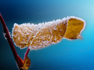 Зима близко: синоптики предупредили о скором похолодании