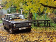 Во Львове объявлен массовый вывоз с улиц брошенных автомобилей