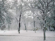 Все вокруг стало белым: в сети показали фото первого снега в Крыму