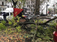 Штормит: в Одессе упало 13 деревьев, приостановлено движение трамваев (фото)