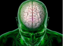 Что нужно знать при подозрении на инсульт, пока не приедет «скорая»: советы невролога