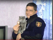 кошка-спасатель
