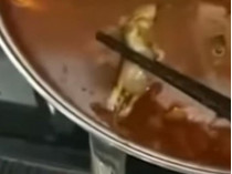 Дохлая крыса в супе