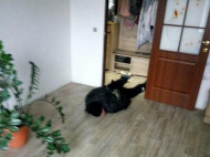 Под Киевом наглый вор дважды грабил одну и ту же квартиру (фото)