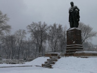 Украину накрывает снежная буря: какие регионы пострадают от непогоды (карта)