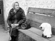 В Украине создают новый орган для социальной защиты населения 