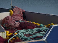 С нового года украинские рыбаки не смогут вести лов рыбы в Азовском море: названа причина