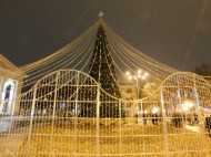 Самую дорогую новогоднюю елку установили в Полтаве (фото)