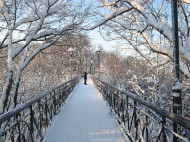 Снег и мороз: синоптик рассказал, какой будет погода в конце декабря