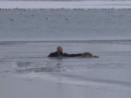 Полицейский спас вмерзшего в лед щенка: сеть растрогало видео