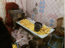 Ванна, наполненная чищенной картошкой 