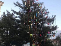 Сеть рассмешила новогодняя елка в Сваляве