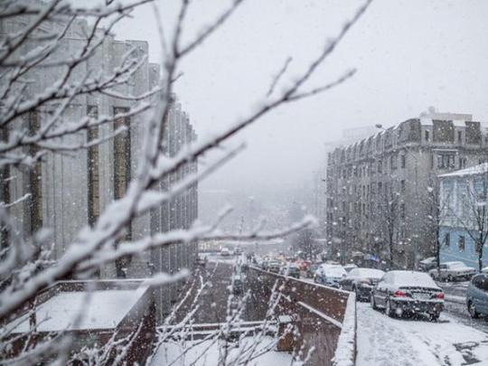 Мороз в Киеве