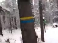 "Партизаны?" Пользователи сети бурно отреагировали на флаги Украины в сибирских лесах (видео)