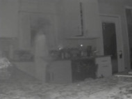 Американка утверждает, что камера наблюдения засняла на кухне призрак ее умершего два года назад сына (фото)