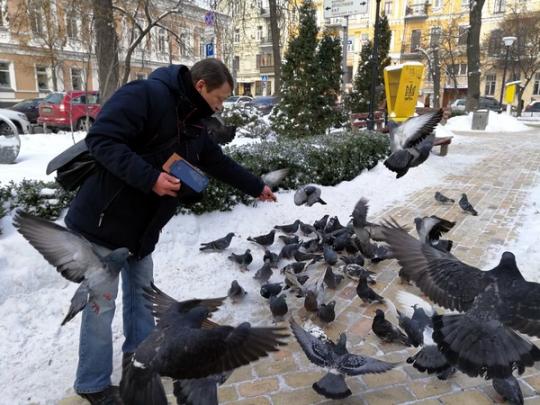Кормит голубей в мороз