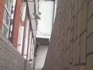 Пользователей сети шокировали львовские подростки, жестоко расправившиеся с котенком (видео 18+)