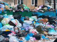 Ждем эпидемию: в сети показали фото заваленного мусором Донецка