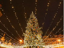елка на Софийской площади
